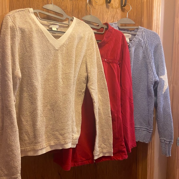 3- Christopher & Banks pieces 2- sweaters 1- Zip up - Picture 1 of 9